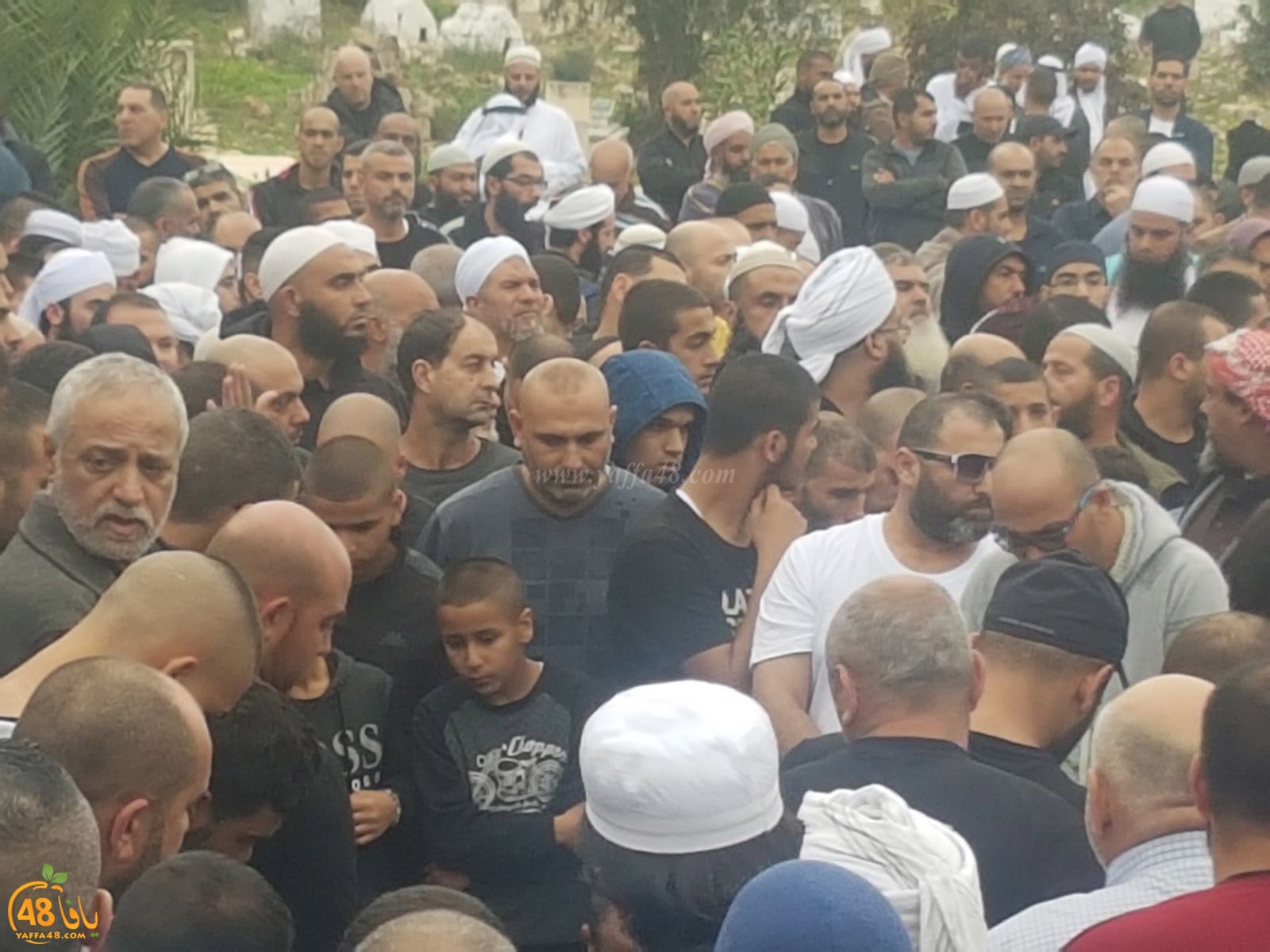 tasheeye3 om mhmoud (5).jpg